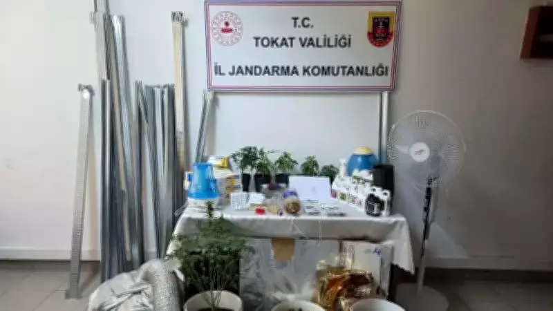 Tokat'ta Dairede Kenevir Sera Operasyonu: 2 Gözaltı, 1 Tutuklama