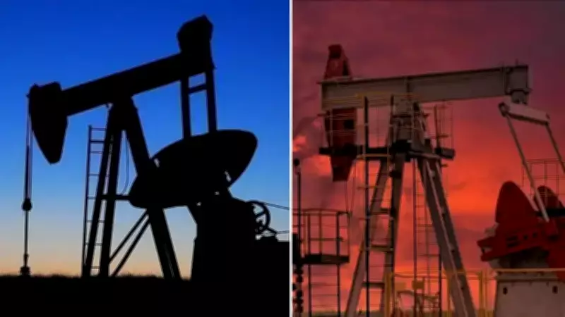 TPAO'nun Petrol Arama Ruhsatları Uzatıldı ve Genişletildi