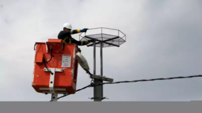 Trakya'da Leylekler İçin 1000 Platform Kuruldu, Göç Yolları Güvence Altında