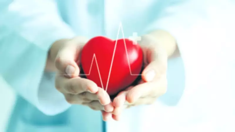 Türkiye Sigorta'dan Kişiye Özel Sağlık Sigortası: Esnek Seçeneklerle Yeni Dönem