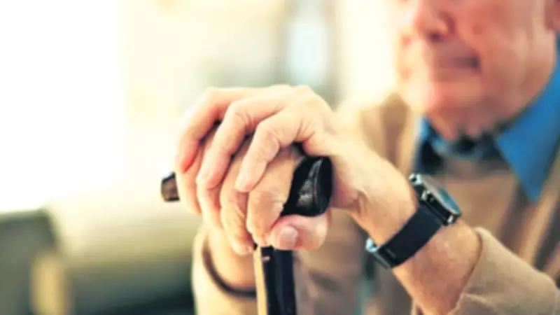 Türkiye'de Asırlık Çınarların Sayısı 10 Bini Aştı, En Yaşlı Şehir Sinop