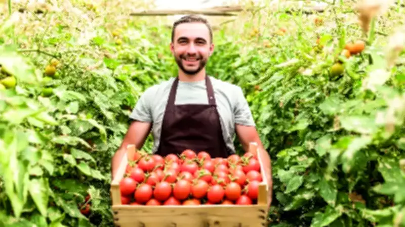 Türkiye'de Tarım Bankacılığı Dijitalleşiyor: Kredi Başvuruları Artık Mobilde