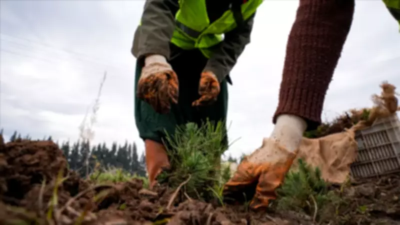 Türkiye'nin Ormanlarına 2,2 Milyar Liralık Bakım Yatırımı Yapıldı