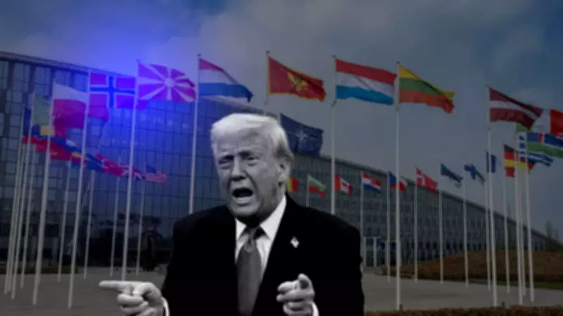 Trump'tan NATO'ya Sert Eleştiri: 'Kağıttan Kaplan' Benzetmesi Yaptı
