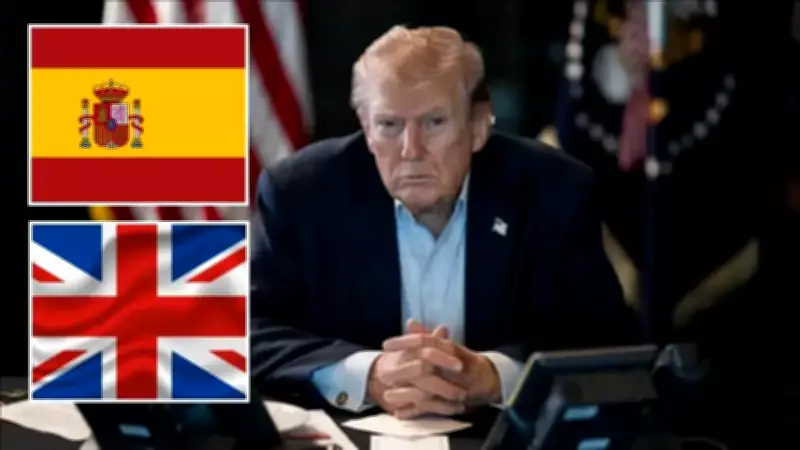 Trump'tan İspanya ve İngiltere'ye Sert Eleştiri: NATO'ya Düşmanca Davranıyorlar