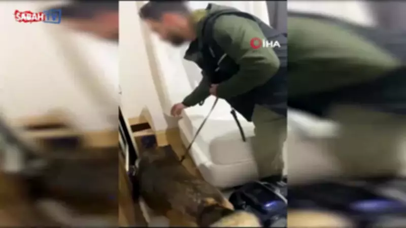 Tunceli'de Uyuşturucu Operasyonu: 472 Gram Metamfetamin Ele Geçirildi, 1 Kişi Tutuklandı