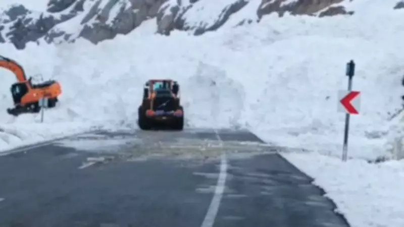 Van-Hakkâri Karayolu'na Çığ Düştü: Ulaşım Durdu, Araçlar Mahsur Kaldı