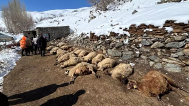 Van'da Ahır Yangını: 67 Küçükbaş Hayvan ve 1 İnek Can Verdi