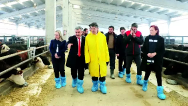 Van'da Düve Yetiştirme Merkezi ile Hayvancılık Destekleniyor