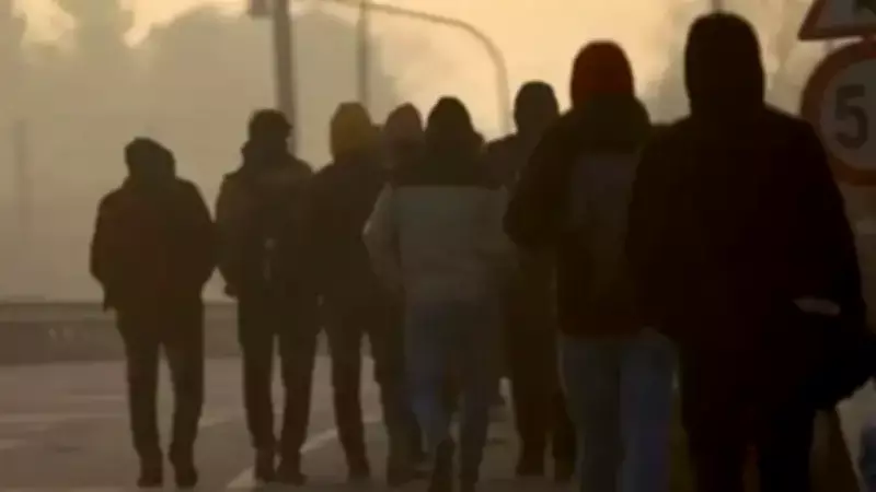 Van'da Göçmen Kaçakçılığı Operasyonu: 20 Düzensiz Göçmen Yakalandı, Bir Şüpheli Tutuklandı