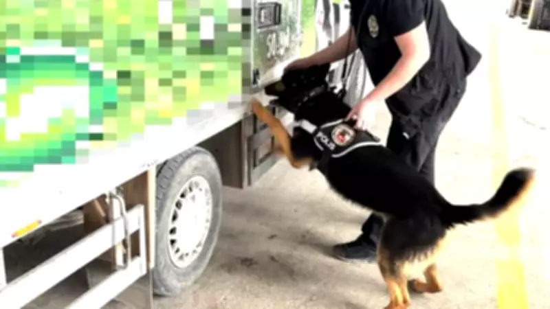 Van'da Kamyonette 90 Kilo Uyuşturucu Ele Geçirildi, Bir Şüpheli Gözaltında