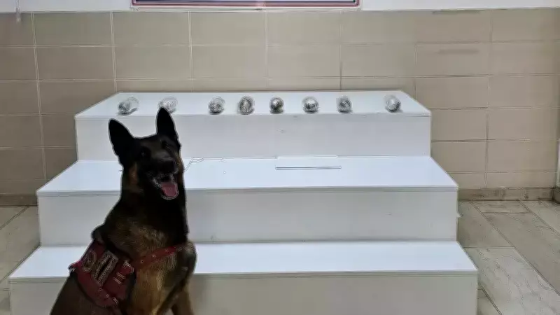 Van'da Operasyon: 1 Kilo 256 Gram Uyuşturucu Ele Geçirildi