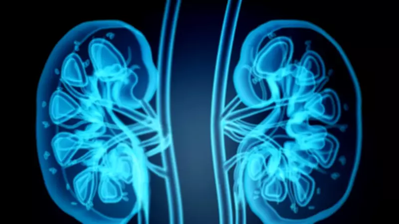 Van'da Taş Hastalığı Alarmı: Böbrek Kayıpları Artıyor