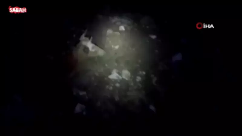 Yalova'da Bataklıkta Mahsur Kalan Vatandaş ve Büyükbaş Hayvanı Kurtarıldı