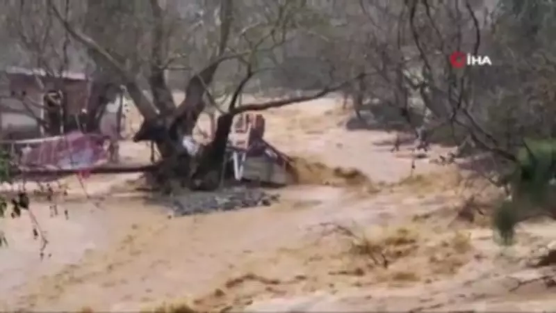 Yalova'da Sağanak Felaketi: Dereler Taştı, 5 Büyükbaş Hayvan Sele Kapılarak Öldü