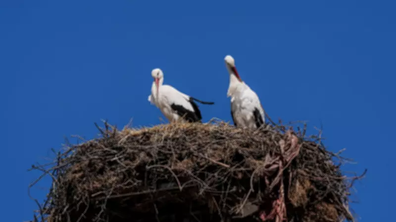 Yaren Leylek, Eşi Nazlı ile 15. Yılında Bursa'da Duygusal Buluşma Yaşadı
