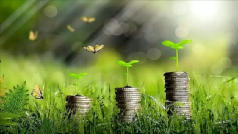 Yeşil Dönüşüm İçin 3 Milyar TL'lik Faizsiz Finansman Desteği Açıklandı