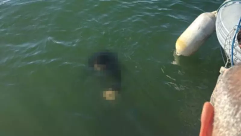 İzmir'de Akülü Tekerlekli Sandalyesiyle Denize Düşen Engelli Vatandaş Kurtarılamadı