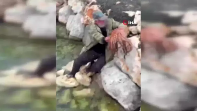 İzmir'de Balıkçı, Kayalıklarda 3 Kiloluk Ahtapotu Çıplak Elleriyle Yakaladı