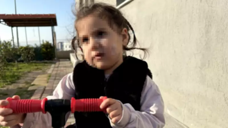 İzmir'de Köpek Dehşeti: 3 Yaşındaki Ada'nın Yüzü Pençe ve Isırıkla Dolu