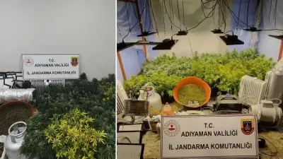 Adıyaman'da Uyuşturucu Operasyonu: 1,5 Kilo Skunk ve 19 Kök Bitki Ele Geçirildi