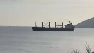 Çanakkale Boğazı'nda Karaya Oturan Tahıl Gemisi Başarıyla Kurtarıldı
