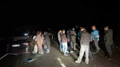 Bingöl'de Otomobilin Ata Çarpması Sonucu 4 Kişi Yaralandı