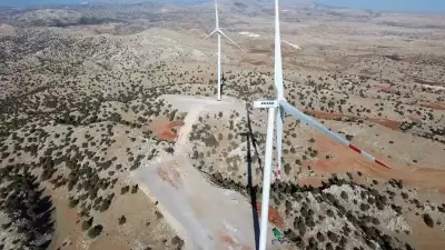 Eksim Enerji, Karaman RES ile Yeşil Dönüşüme Hız Veriyor