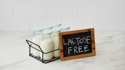 Evde Laktozsuz Süt Yapımı: Doğal, Ekonomik ve Sağlıklı Tarif