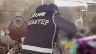 Gaziantep'te Tarihi Eser Operasyonu: 179 Sikke ve 29 Obje Ele Geçirildi, 1 Gözaltı