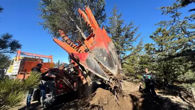 Kayseri'de Kartal Kavşağı Projesi Öncesi 305 Ağaç Taşınıyor