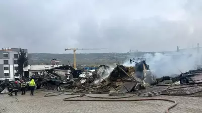 Kocaeli'de Ahır Yangınında 460 Hayvan Telef Oldu: İnceleme Başlatıldı