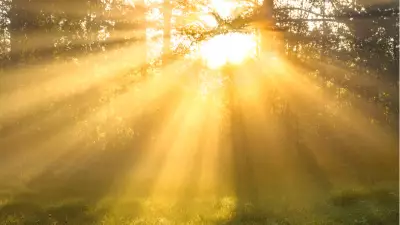 Meteoroloji'den Kritik Tahmin: Nisan ve Mayıs'ta Sıcaklıklar Normallerin Üzerine Çıkacak