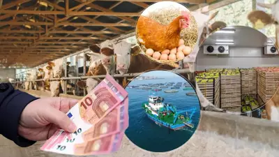 Milyonlara Geri Ödemesiz 241 Milyon Euro Hibe! 2026 Çağrı Takvimi Açıklandı