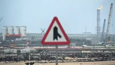 Ortadoğu'da Enerji Tesislerine Saldırılar: Küresel Arz ve Fiyatlar Tehdit Altında