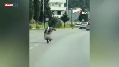 Osmaniye'de Akrobatik Motosiklet Sürücüsüne 128 Bin 500 TL Ceza Kesildi