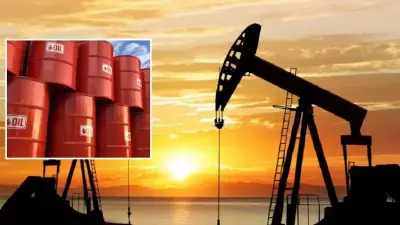 Petrol Fiyatları Dalgalanırken IEA Tarihinin En Büyük Stok Salımını Planlıyor