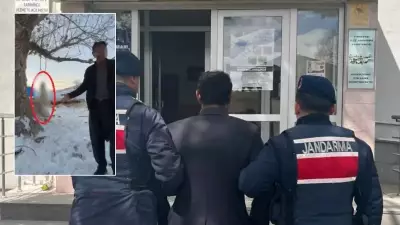 Pınarbaşı'nda Köpeğini Ağaca Asarak Öldüren Şahıs Gözaltına Alındı