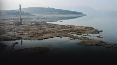 Son Yağışlar İzmir'in Barajlarını Canlandırdı: Tahtalı'da Muhteşem Geri Dönüş
