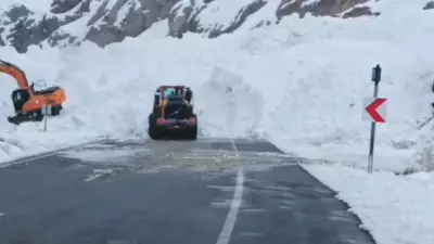 Van-Hakkâri Karayolu'na Çığ Düştü: Ulaşım Durdu, Araçlar Mahsur Kaldı