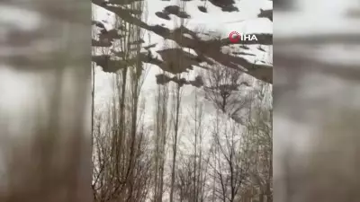 Yüksekova'da Çığ Tehlikesi: Yeşiltaş Köyü Faciadan Son Anda Kurtuldu