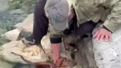 İzmir'de Balıkçı, Kayalıklardaki Dev Ahtapotu Çıplak Elleriyle Yakaladı