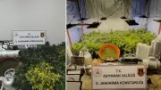 Adıyaman'da Uyuşturucu Operasyonu: 1,5 Kilo Skunk ve 19 Kök Bitki Ele Geçirildi