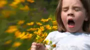 Bahar Alerjisi: Çocukları Polenlerden Korumanın 7 Etkili Yöntemi