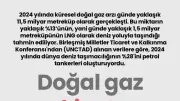 Doğal Gaz Sevkiyatının Hayati Damarları: Boğazların Küresel Enerji Rolü