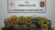 Iğdır'da Kaçak Keklik Avcılarına 175 Bin Lira Ceza Kesildi
