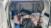 Jandarma Bozulmuş 340 Kilo Et Ele Geçirdi, Sürücüye Para Cezası Kesildi