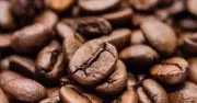 Kahve Fiyatları Yüzde 40 Düştü: Brezilya Rekor Hasat ve Talep Daralması Etkili Oldu