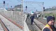 Kocaeli'de Tren Kazası: Raylara Giren Kişi Hayatını Kaybetti