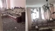Rusya'da Unutulan Pencere Felaketi: Ev Güvercin İstilasına Uğradı